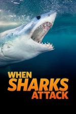 When Sharks Attack (Serie de TV)