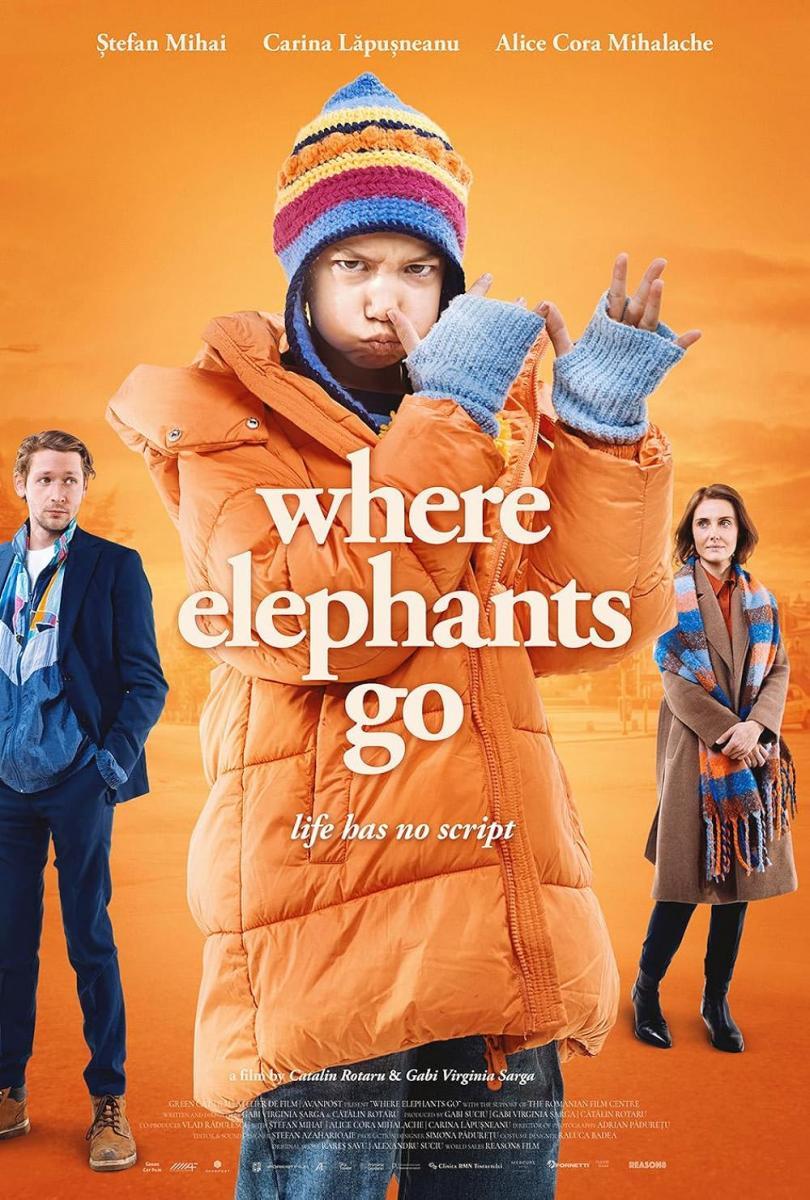 Where Elephants Go (2024) - FilmAffinity