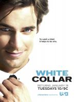 Ladrón de guante blanco (Serie de TV) - Posters