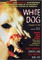 Perro blanco  - Dvd