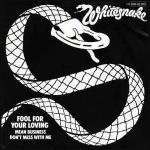 Whitesnake: Fool for Your Loving (Version 2) (Vídeo musical)