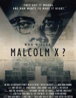 ¿Quién mató a Malcolm X? (Serie de TV)