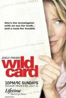 Wild Card (TV Series) - Poster / Main Image