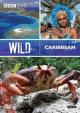 Caribe salvaje (Miniserie de TV)