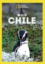 Wild Chile (TV Miniseries)