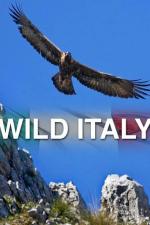 Wild Italy (TV Series)