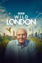 Wild London (TV)