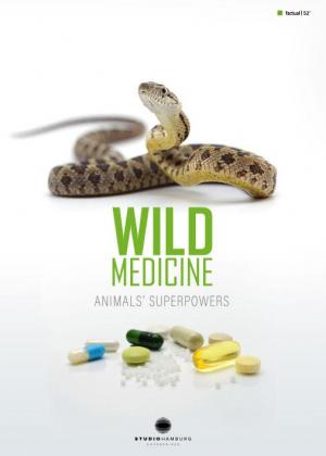 Medicina silvestre: Superpoderes de los animales 