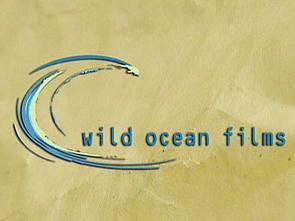 Wild Ocean Films