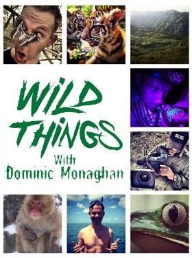 Buscando bichos con Dominic Monaghan (Serie de TV)