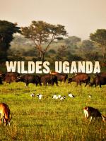 Wild Uganda 