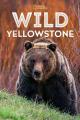 Wild Yellowstone (TV)