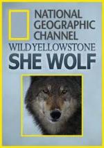 Wild Yellowstone: She Wolf 