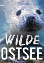 Wilde Ostsee (TV Miniseries)