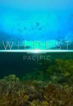 El Pacífico más salvaje (Serie de TV)