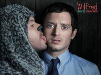 Wilfred (TV Series) - Wallpapers