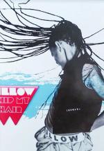 Willow Smith: Whip My Hair (Music Video)