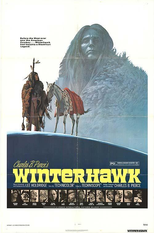 El halcón de invierno  - Poster / Imagen Principal