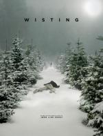 Wisting (TV Series)