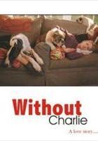 Without Charlie  - Poster / Imagen Principal