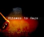 Witness to Waco (TV)
