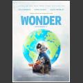 Wonder 