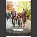 Wonder 