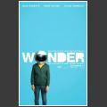 Wonder 