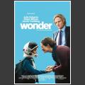 Wonder 