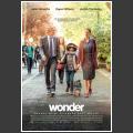 Wonder 
