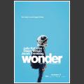 Wonder 