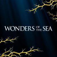 Wonders of the Sea 3D  - Posters