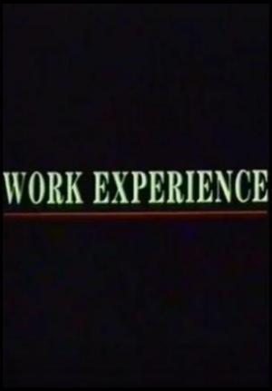Work Experience (C)