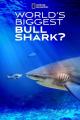 World's Biggest Bull Shark (TV)