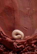 Worm Farm (C)