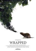 Wrapped (C) - Poster / Imagen Principal