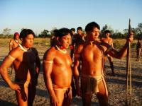 Xingu  - Stills