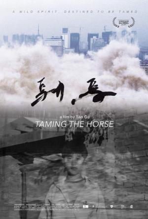 Taming the Horse 