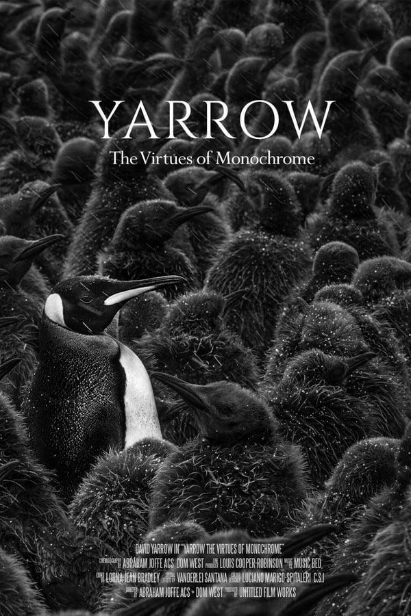 Yarrow The Virtues of Monochrome (C) (2019) FilmAffinity