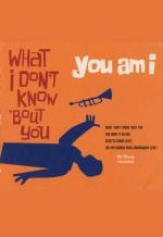 You Am I: What I Don't Know 'Bout You (Music Video)