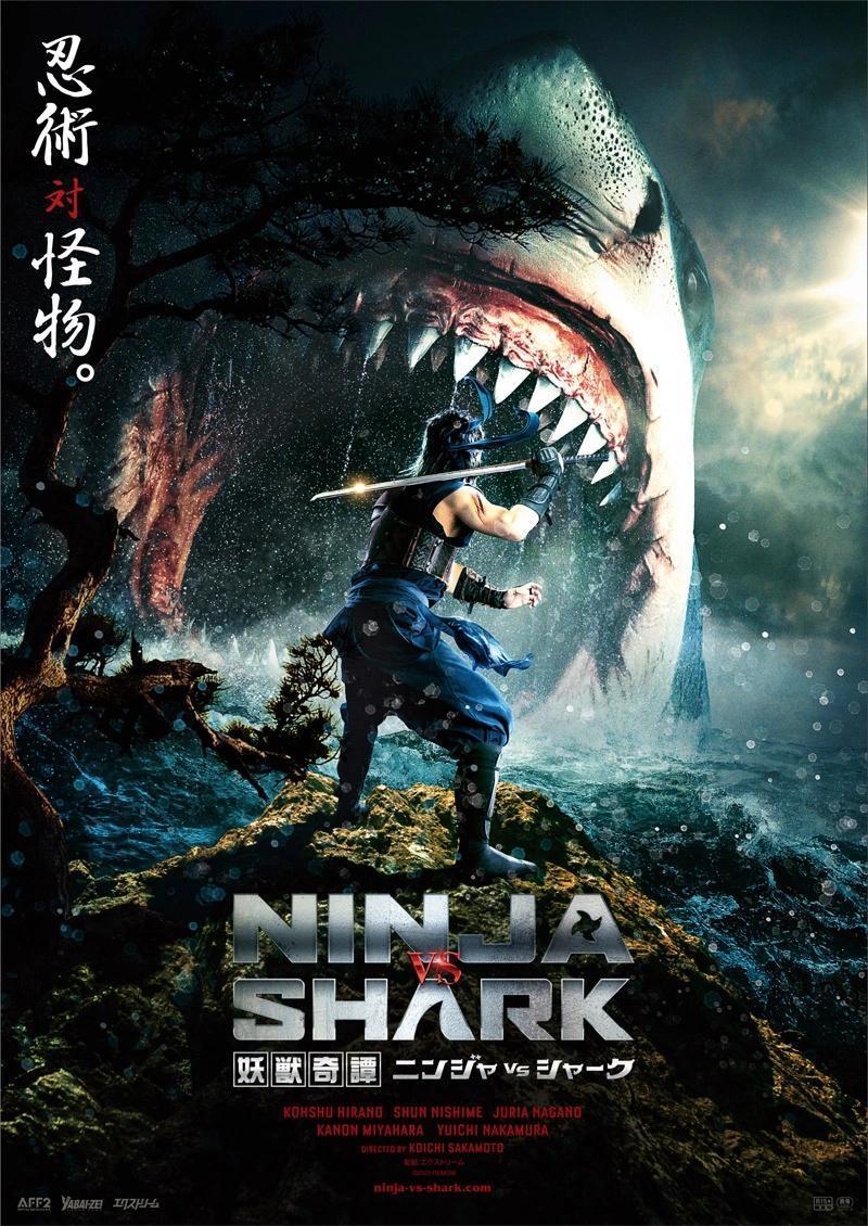 Ninja vs Shark 