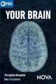 Your Brain: Perception Deception 