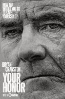 Your Honor (TV Series) - Posters