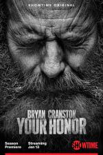 Your Honor (TV Series)
