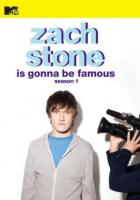 Zach Stone Is Gonna Be Famous (TV Series) - Poster / Main Image