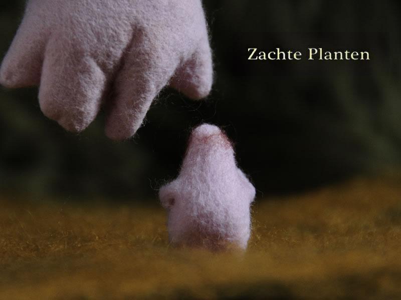 Zachte Planten (S)