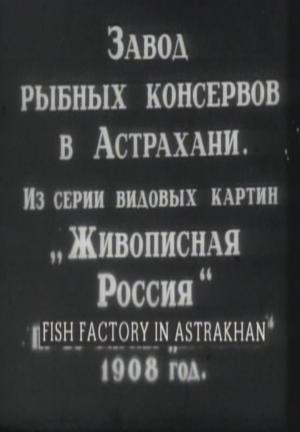Zavod rybnykh konservov v Astrakhani (S)