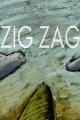 Zig Zag (S)