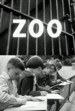 Zoo (C)
